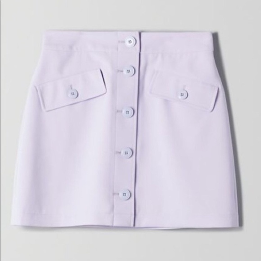 Aritzia Little Moon Freesia Mini Skirt